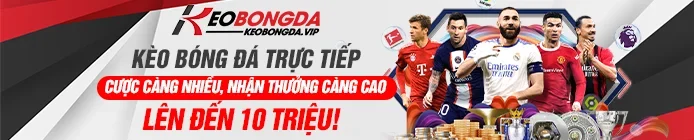 banner kbd